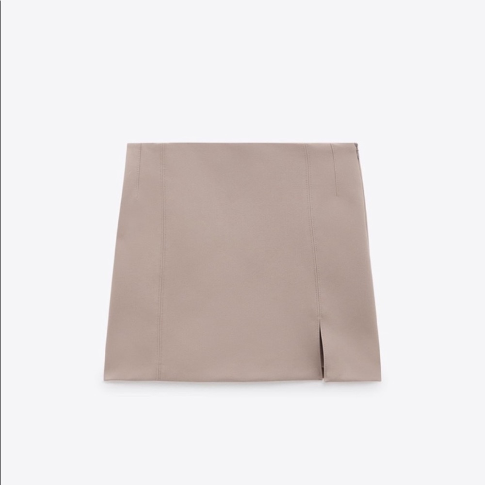 Zara Mini Skirt